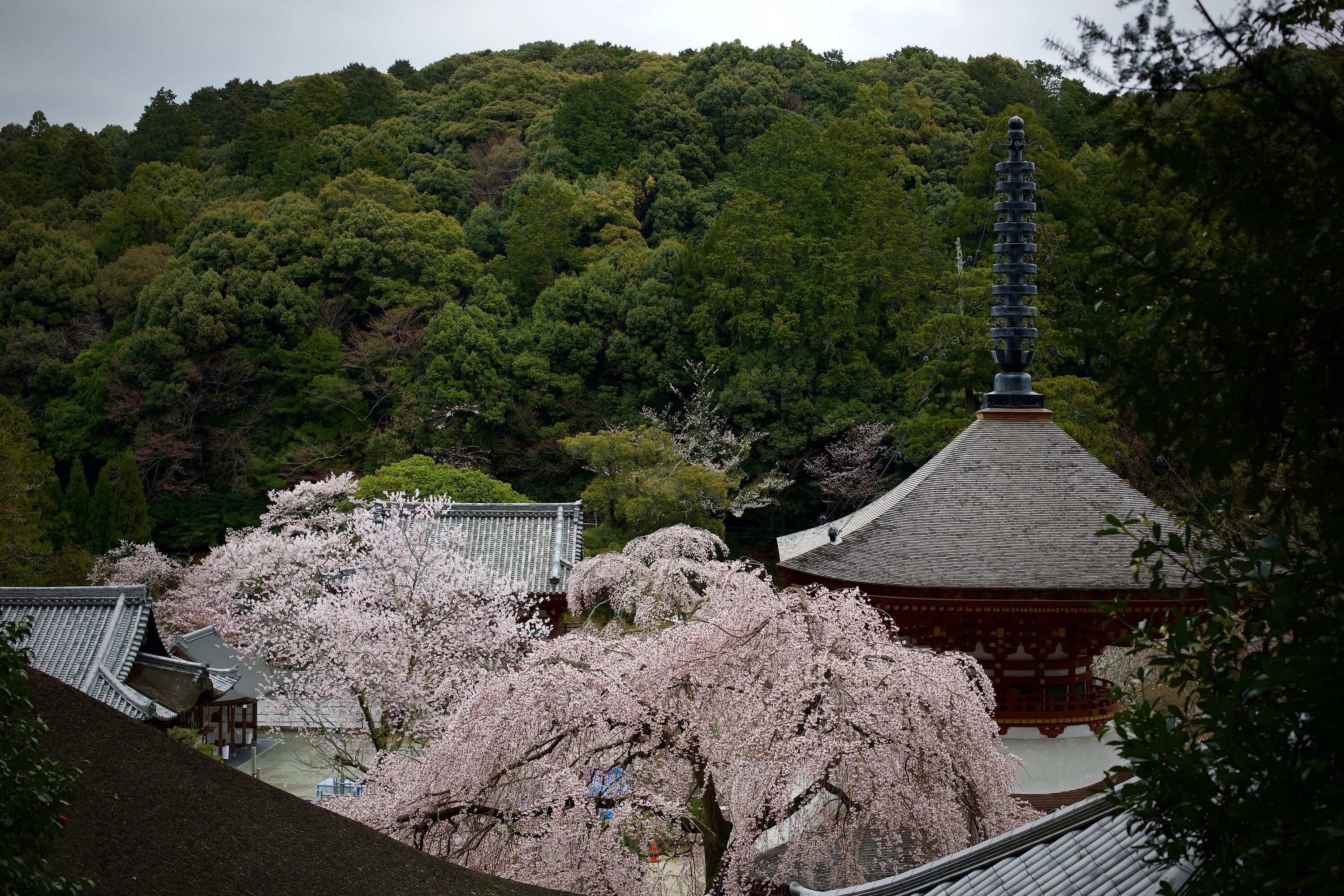 🌸 니와키 댐 이미지 5